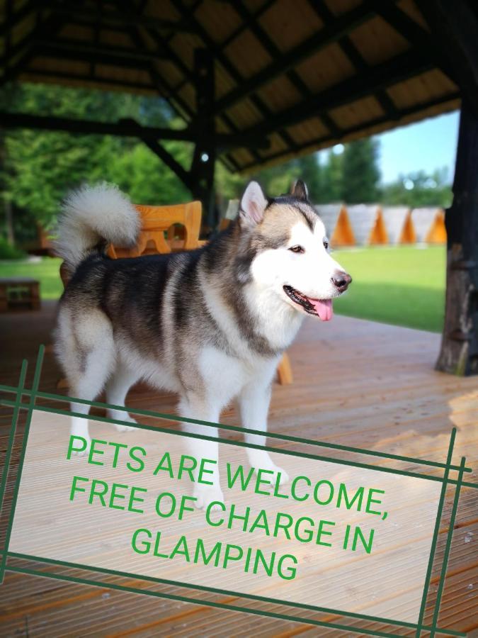 Glamping Forest Edge Kamnik Kültér fotó
