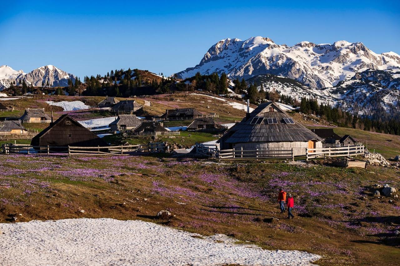 Glamping Forest Edge Kamnik Kültér fotó